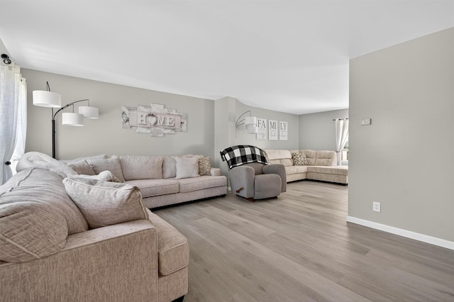 97 Pittaluga Dr, Monticello, NY 12701 - living room with light wood-style flooring and baseboards