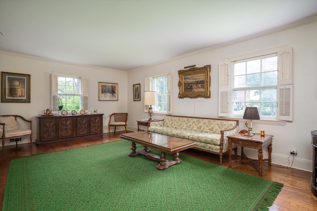 38 Mason Dr, Manhasset, NY 11030 - living area with crown molding, healthy amount of natural light, and wood finished floors