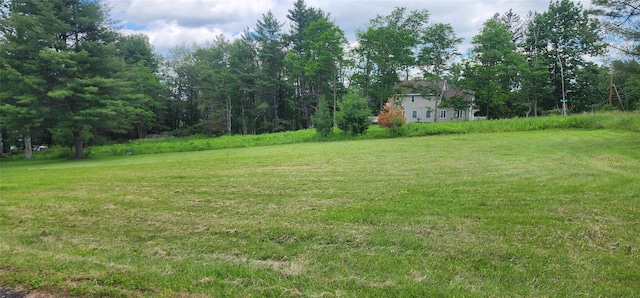 530 Sackett Lake Rd, Monticello, NY 12701 - view of green lawn