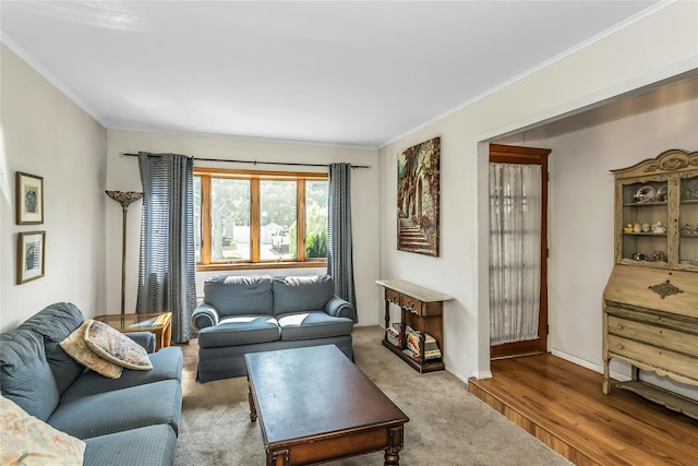 20 Wensley Rd, Plainview, NY 11803 - carpeted living room featuring crown molding and baseboards