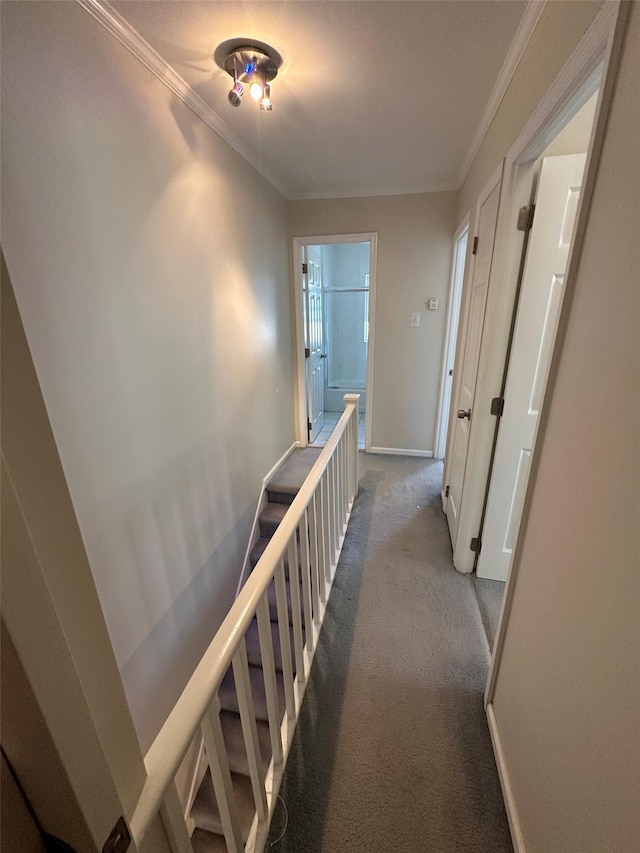 33-13 202nd St, Bayside, NY 11361 - hallway featuring carpet floors and crown molding
