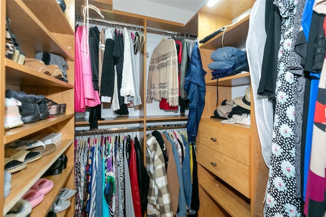 171 S Middle Neck Rd Unit 1F, Great Neck, NY 11021 - view of walk in closet