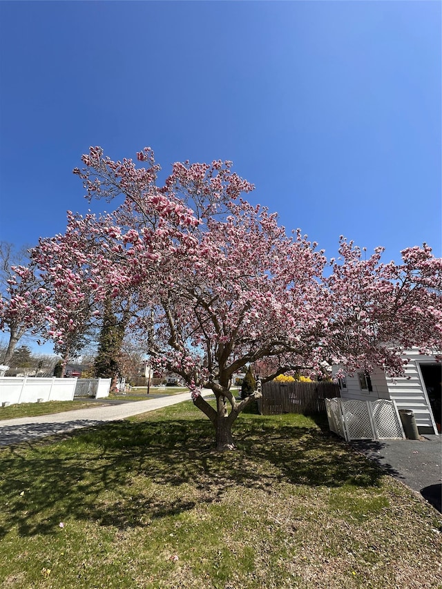 15 Roosevelt Blvd, East Patchogue, NY 11772 - exterior space