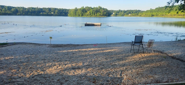 34 Round Lake Ave, Monroe, NY 10950 - water view with a forest