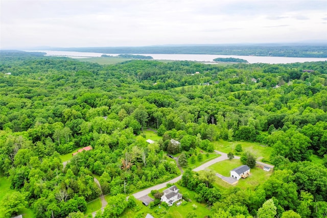 47 Clay Hill Rd, Tivoli, NY 12583 - aerial view of a heavily wooded area and a nearby body of water