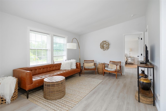47 Clay Hill Rd, Tivoli, NY 12583 - living room with light wood finished floors