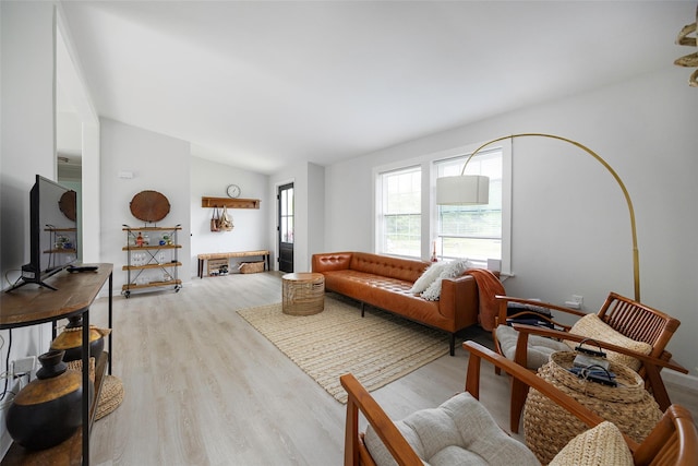 47 Clay Hill Rd, Tivoli, NY 12583 - living area with lofted ceiling and light wood-style floors
