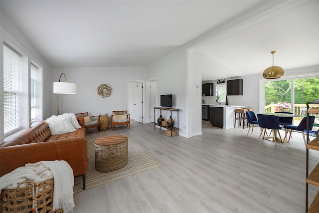 47 Clay Hill Rd, Tivoli, NY 12583 - living area with light wood-style floors