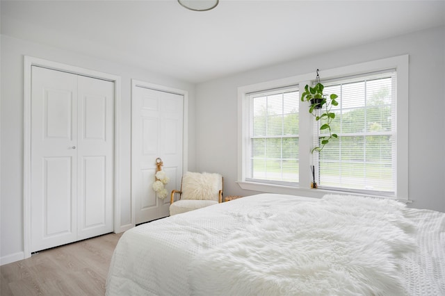 47 Clay Hill Rd, Tivoli, NY 12583 - bedroom with multiple windows, light wood-style floors, and two closets