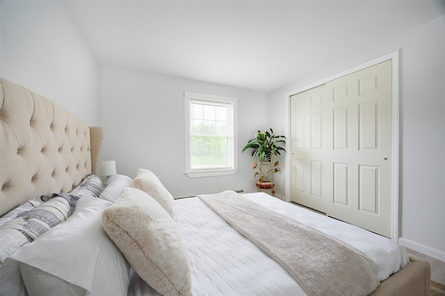 47 Clay Hill Rd, Tivoli, NY 12583 - bedroom with a closet and baseboards