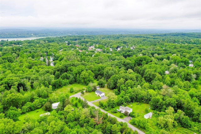 47 Clay Hill Rd, Tivoli, NY 12583 - bird's eye view of a forest