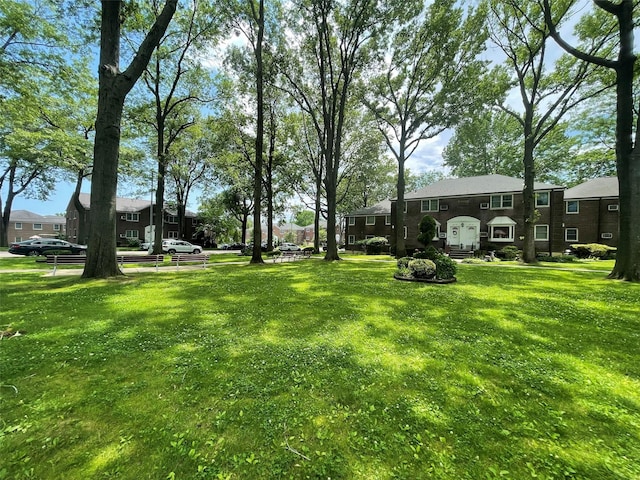 252-23 63rd Ave Unit 1Fl, Little Neck, NY 11362 - view of green lawn
