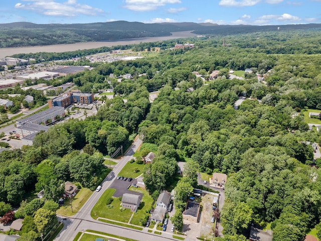 29 Lake St, Poughkeepsie, NY 12601 - photo 13