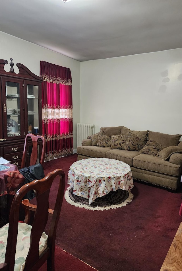 472 Gramatan Ave Unit X3, Mount Vernon, NY 10552 - living area with carpet and radiator
