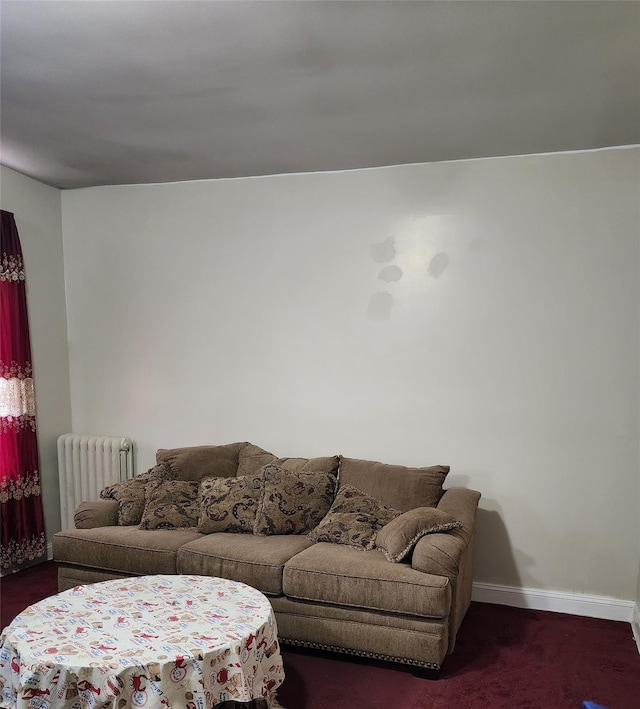 472 Gramatan Ave Unit X3, Mount Vernon, NY 10552 - living area with radiator and carpet