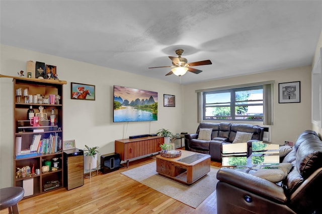 25 Elizabeth St Unit 1P, Farmingdale, NY 11735 - living room featuring ceiling fan and light wood-style floors