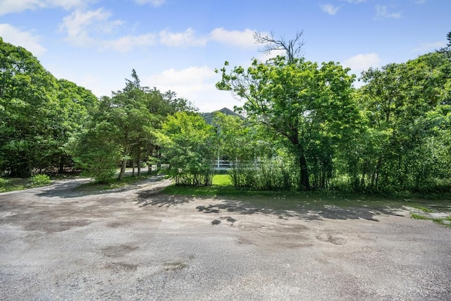 4 Cooks Ln, Westhampton, NY 11977 - view of yard