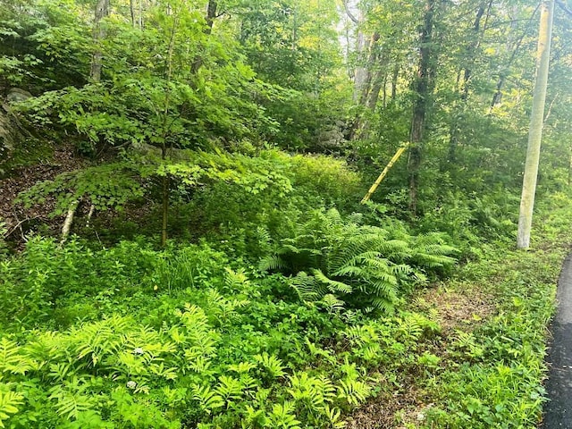 LOT14.1 Wiccopee Rd, Putnam Valley, NY 10579 - photo 3