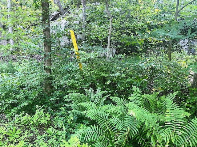 LOT14.1 Wiccopee Rd, Putnam Valley, NY 10579 - photo 4