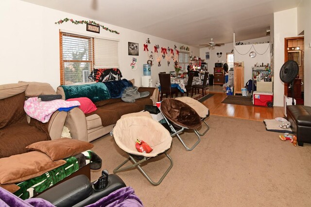 467 Carlls Path, Deer Park, NY 11729 - living room featuring a ceiling fan and wood finished floors