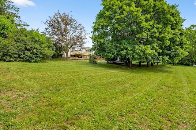 29 Waltz Ln, Catskill, NY 12414 - photo 41