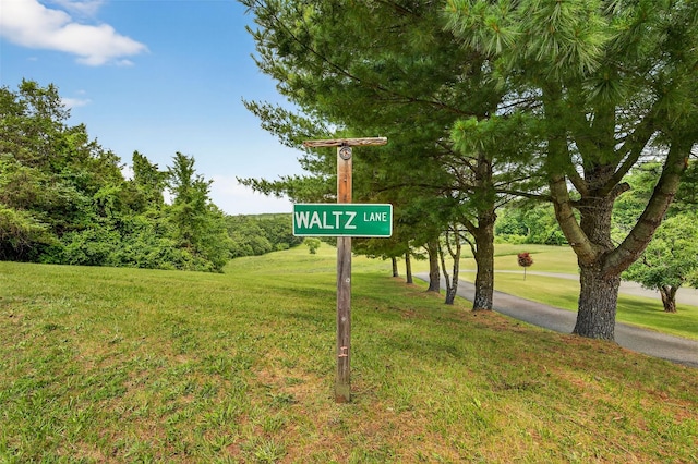 29 Waltz Ln, Catskill, NY 12414 - photo 44