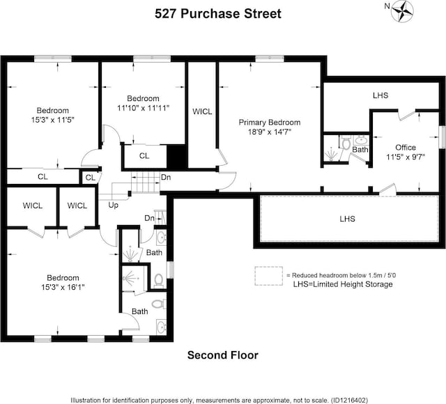 527 Purchase St, Rye, NY 10580 - photo 33
