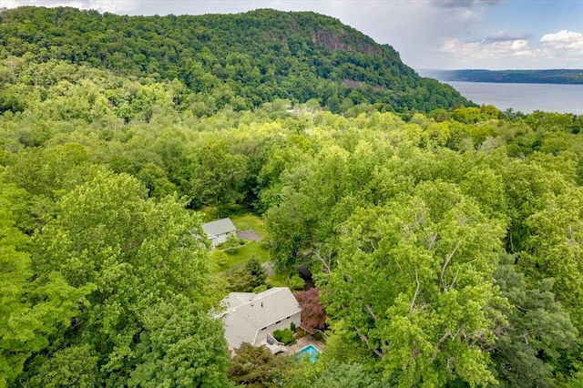 205 Radcliff Dr, Nyack, NY 10960 - aerial view of a heavily wooded area and a nearby body of water
