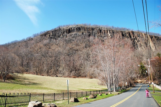 205 Radcliff Dr, Nyack, NY 10960 - view of asphalt road with street lighting and a mountain view