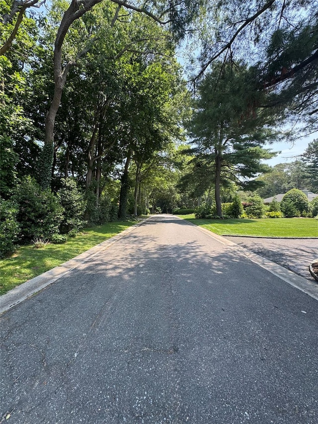 105 Midway Ave, Locust Valley, NY 11560 - photo 3