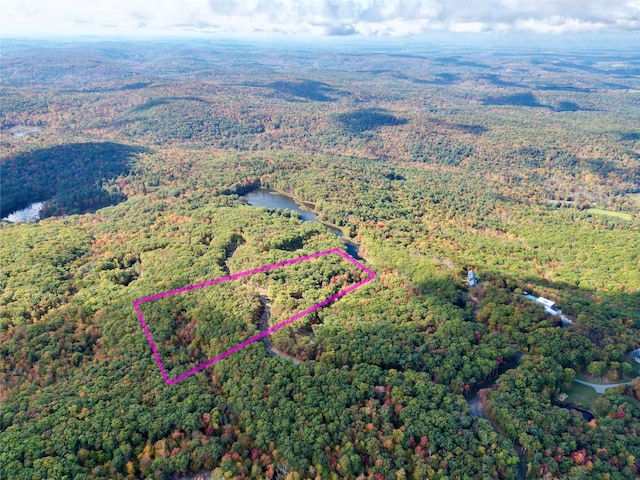 400 Mercer Mountain Rd, East Chatham, NY 12060 - photo 2