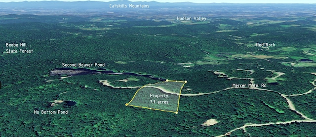 400 Mercer Mountain Rd, East Chatham, NY 12060 - photo 5