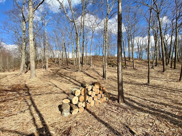 400 Mercer Mountain Rd, East Chatham, NY 12060 - photo 7