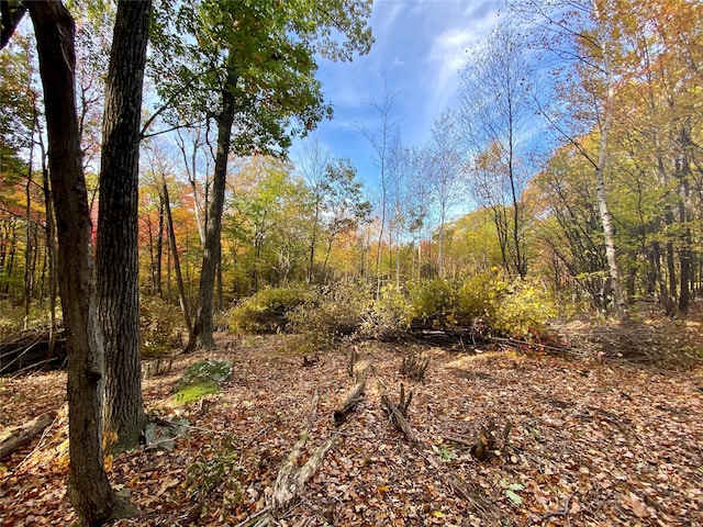 400 Mercer Mountain Rd, East Chatham, NY 12060 - photo 9