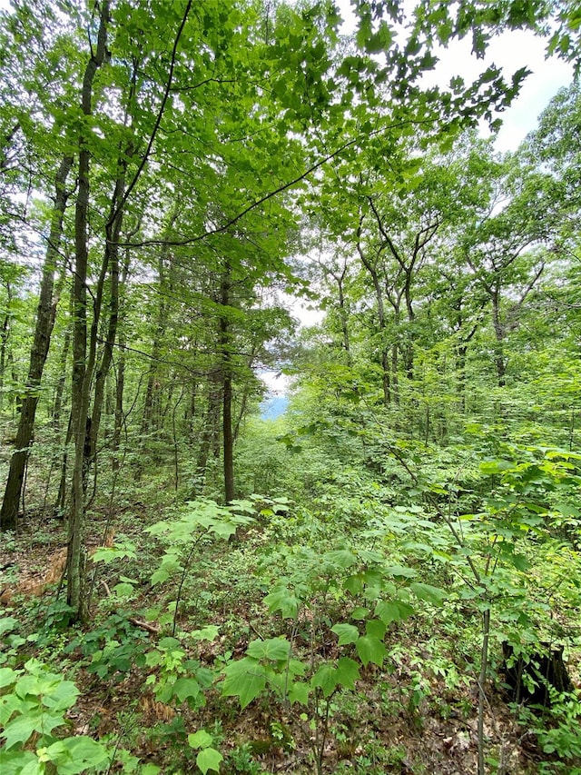 400 Mercer Mountain Rd, East Chatham, NY 12060 - photo 10