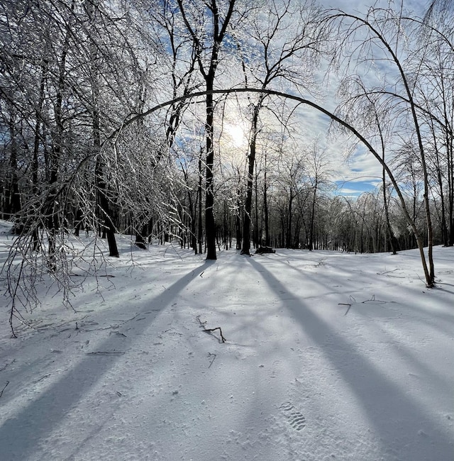 400 Mercer Mountain Rd, East Chatham, NY 12060 - photo 11