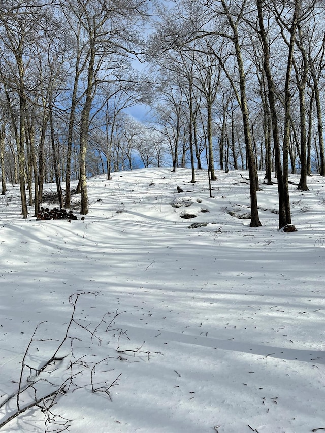 400 Mercer Mountain Rd, East Chatham, NY 12060 - photo 12