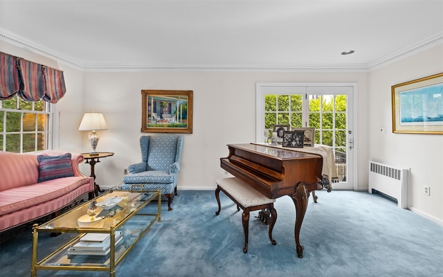 42 Locust St, Garden City, NY 11530 - photo 11