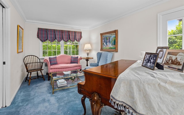 42 Locust St, Garden City, NY 11530 - photo 12