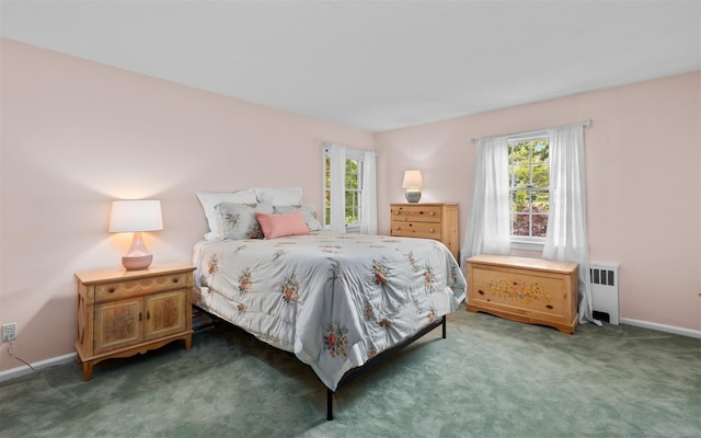 42 Locust St, Garden City, NY 11530 - photo 27