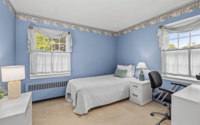 42 Locust St, Garden City, NY 11530 - photo 29