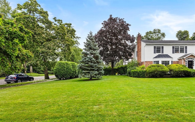 42 Locust St, Garden City, NY 11530 - photo 34