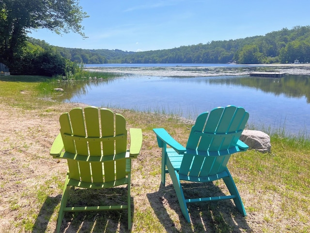 1 Orchard Dr, South Salem, NY 10590 - view of community with a view of trees and a water view