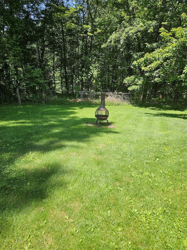 215 Sycamore Dr, New Windsor, NY 12553 - view of yard