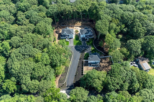 32 Middleville Rd Unit 2, Northport, NY 11768 - aerial view of property's location featuring a forest