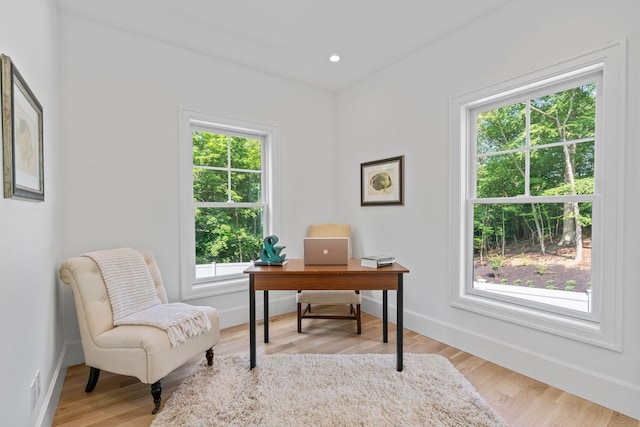 30 Middleville Rd, Northport, NY 11768 - office space with light wood-style floors and recessed lighting