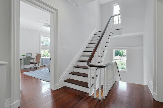 15 Calton Ln, New Rochelle, NY 10804 - stairway featuring wood finished floors, ceiling fan, and crown molding
