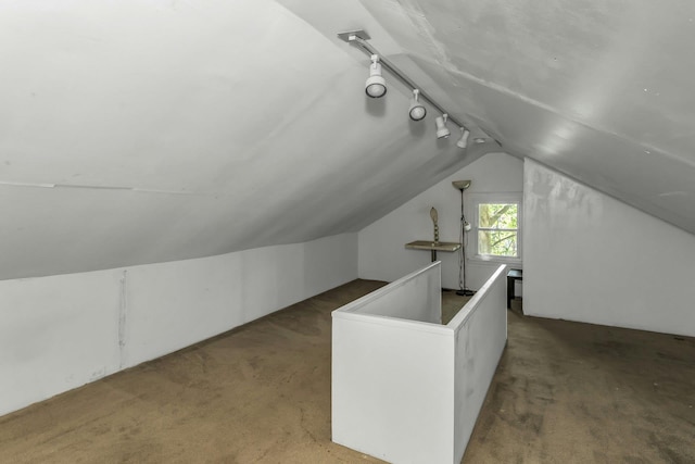 117 Glenwood Rd, Glenwood Landing, NY 11547 - bonus room with carpet floors and lofted ceiling