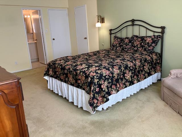 20 Chapel Pl Unit 1H, Great Neck, NY 11021 - bedroom featuring carpet flooring and ensuite bath