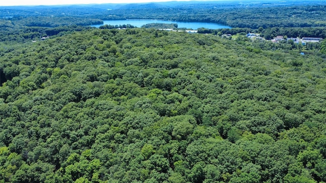 118 Scenic Ridge Dr, Brewster, NY 10509 - photo 45